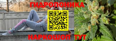 дживик Кунгур