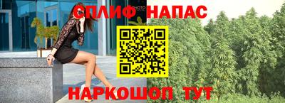 дживик Кунгур