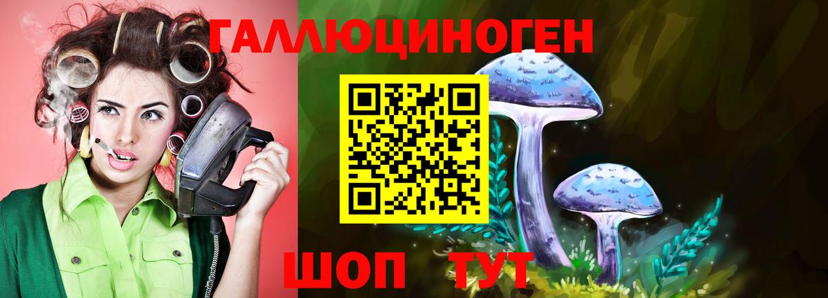 Псилоцибиновые грибы прущие грибы Калач-на-Дону