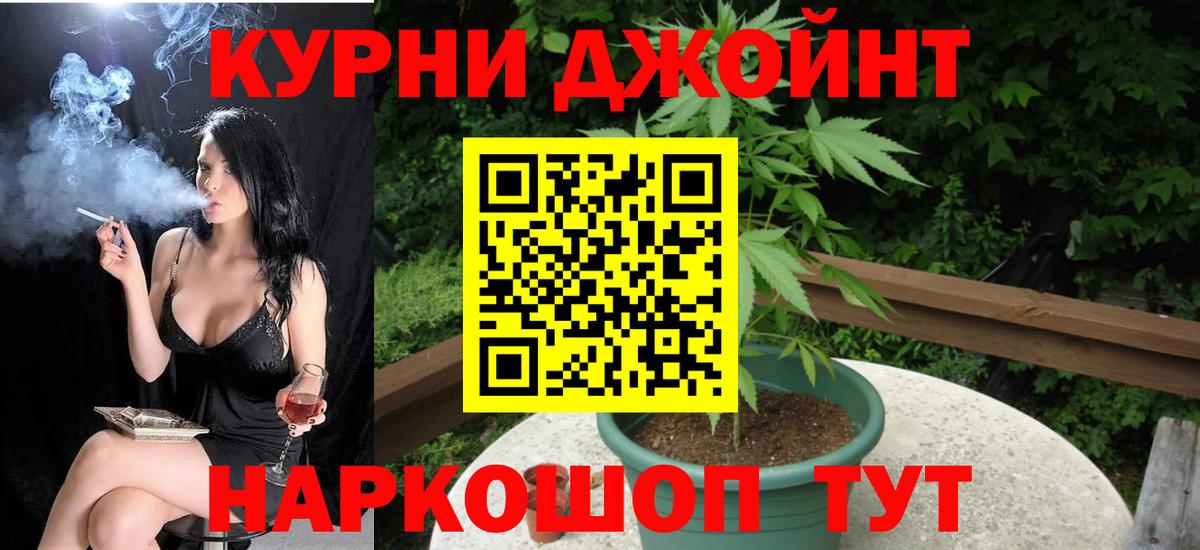 Конопля гибрид Калач-на-Дону